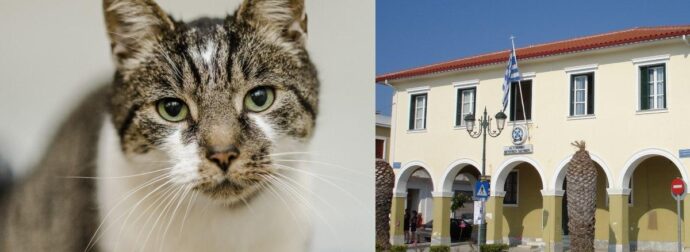 Κτηνωδία στην Ζάκυνθο: Έδεσε γάτα σε τοιχίο και τη σκότωσε – Το πρόστιμο που της επιβλήθηκε